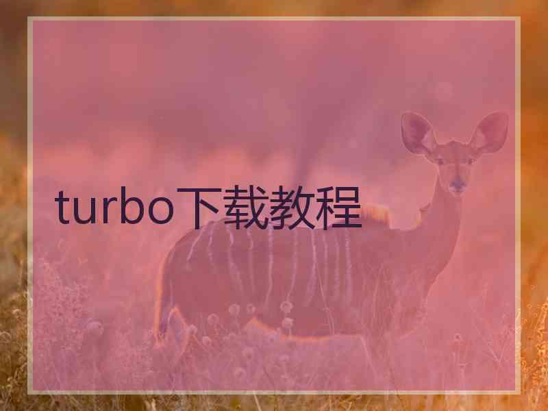 turbo下载教程