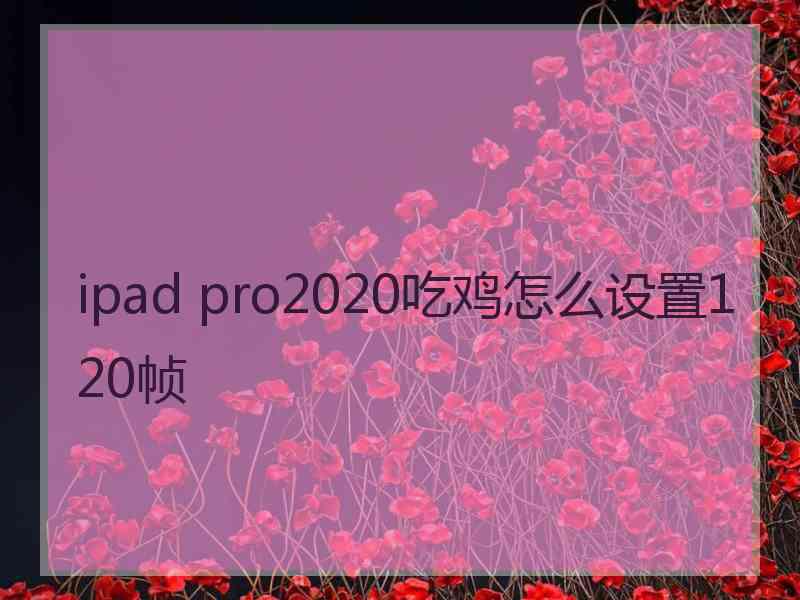 ipad pro2020吃鸡怎么设置120帧