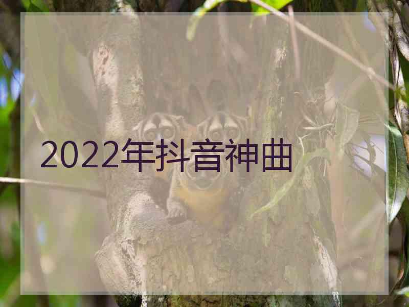 2022年抖音神曲