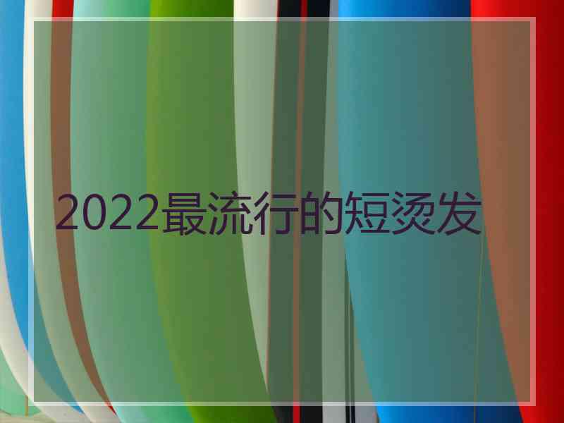 2022最流行的短烫发