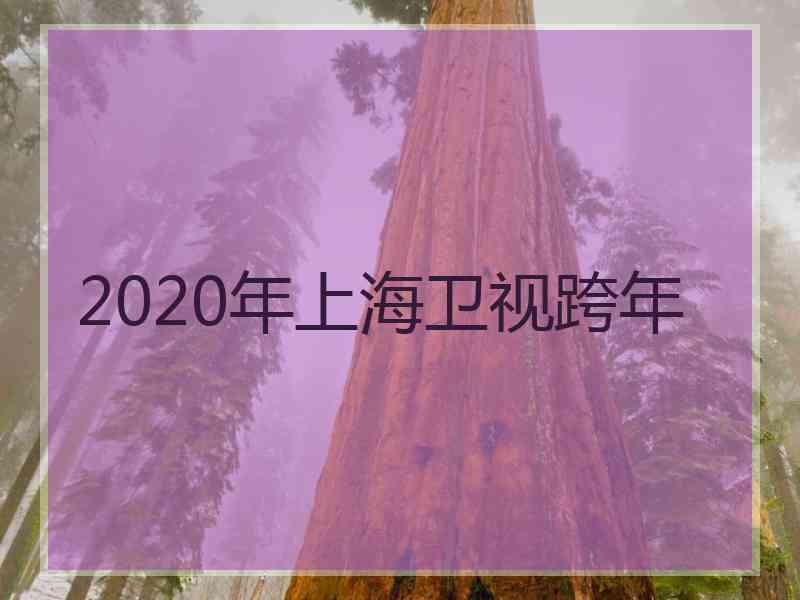 2020年上海卫视跨年