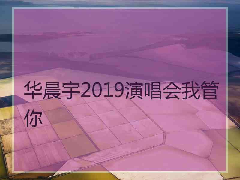 华晨宇2019演唱会我管你