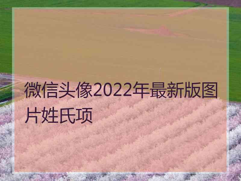 微信头像2022年最新版图片姓氏项