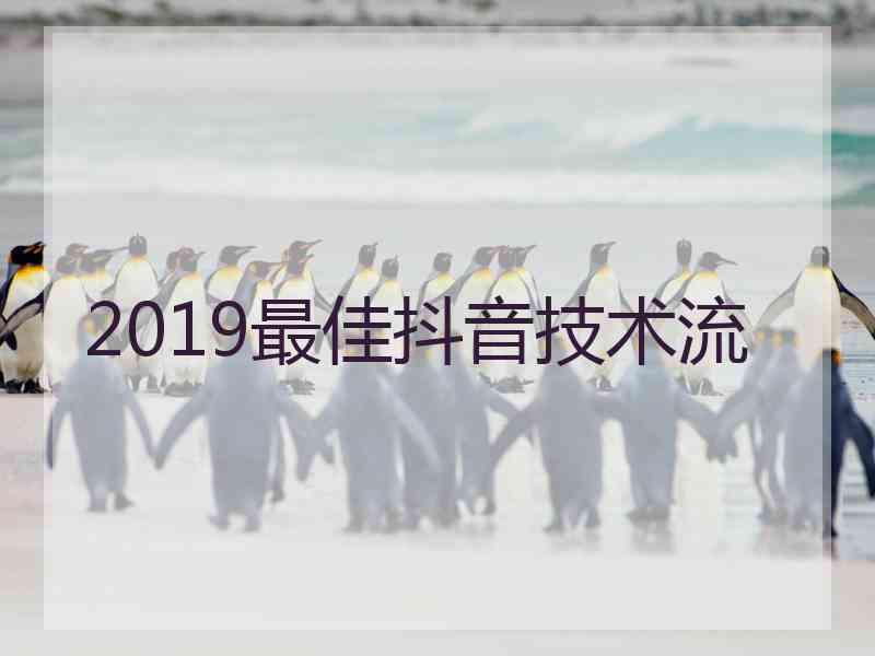 2019最佳抖音技术流