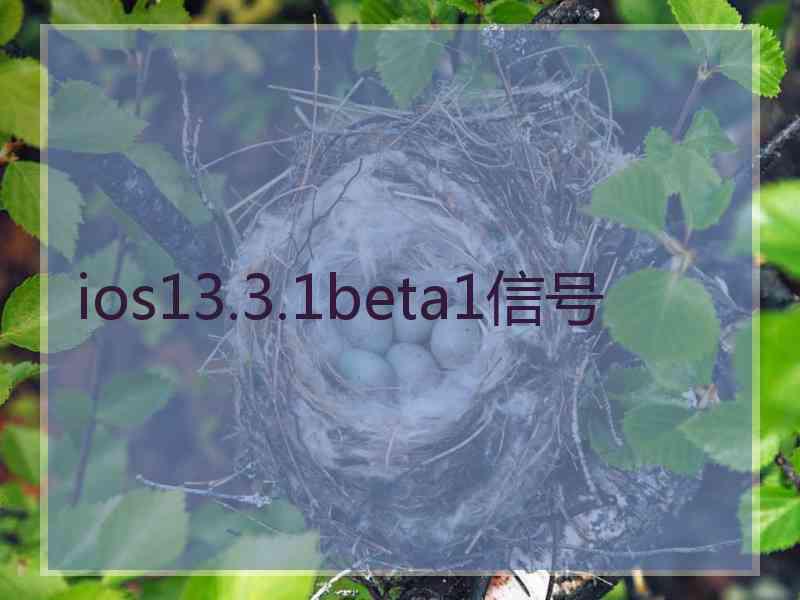 ios13.3.1beta1信号