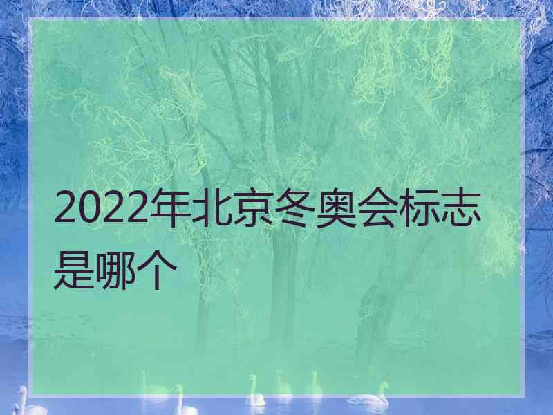 2022年北京冬奥会标志是哪个