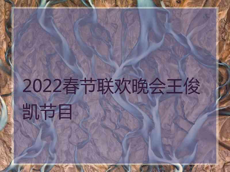 2022春节联欢晚会王俊凯节目