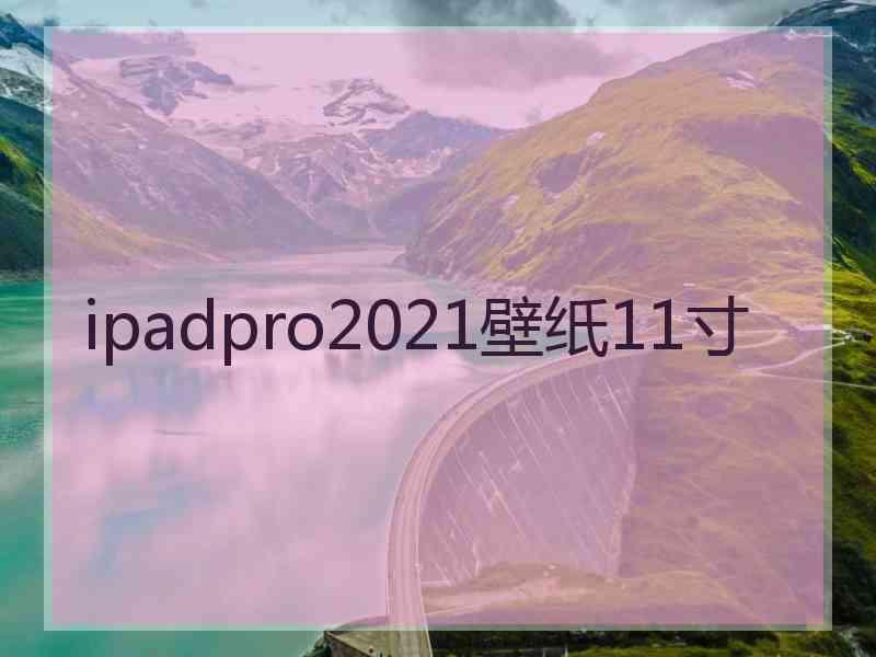 ipadpro2021壁纸11寸