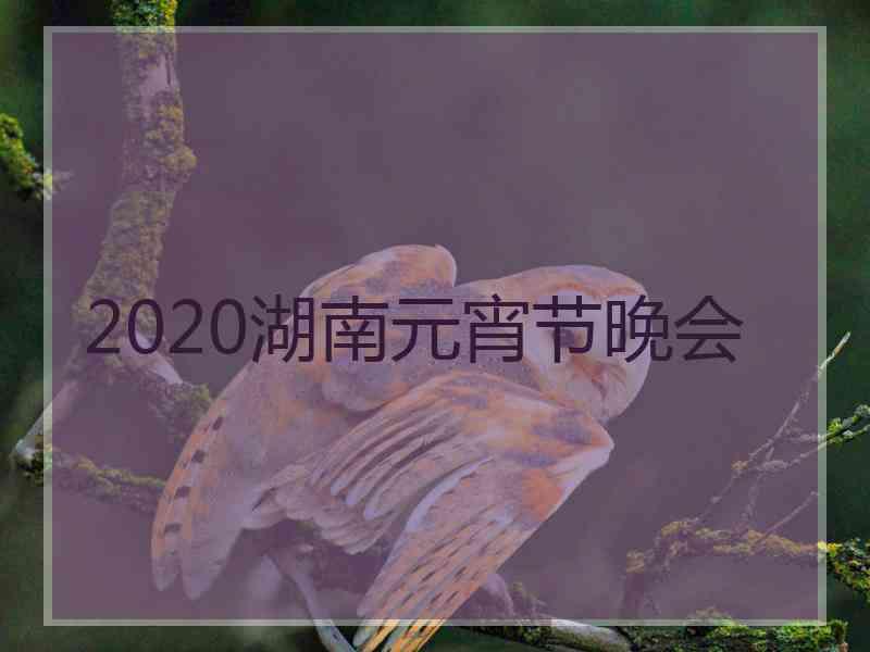 2020湖南元宵节晚会