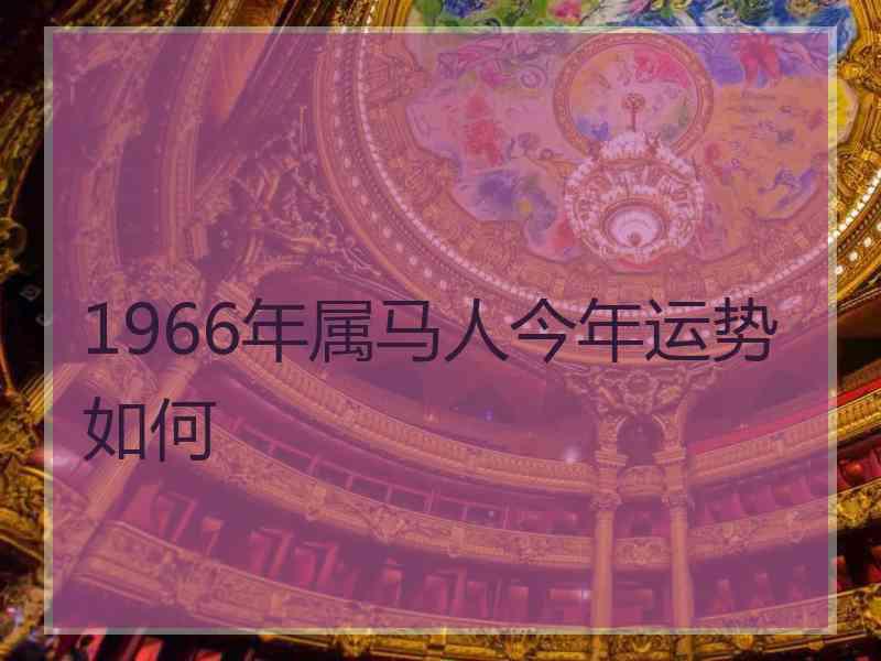 1966年属马人今年运势如何