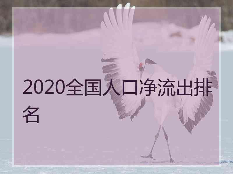 2020全国人口净流出排名