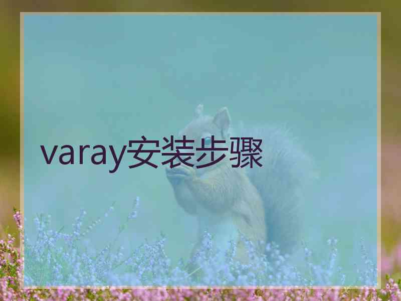 varay安装步骤