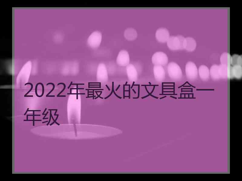 2022年最火的文具盒一年级