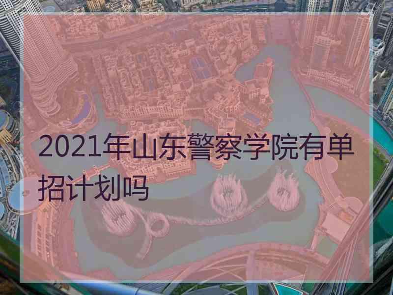 2021年山东警察学院有单招计划吗