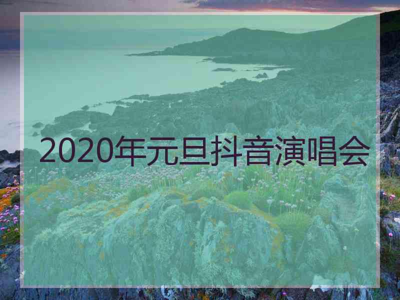 2020年元旦抖音演唱会