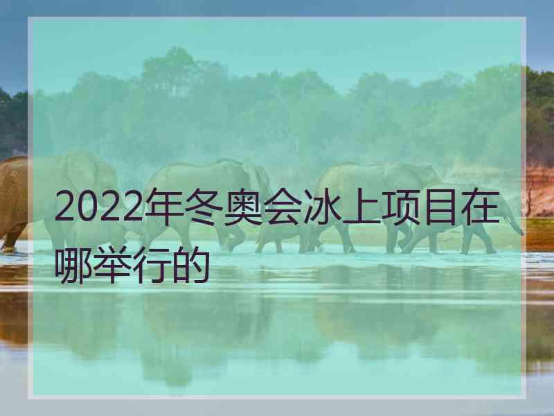 2022年冬奥会冰上项目在哪举行的