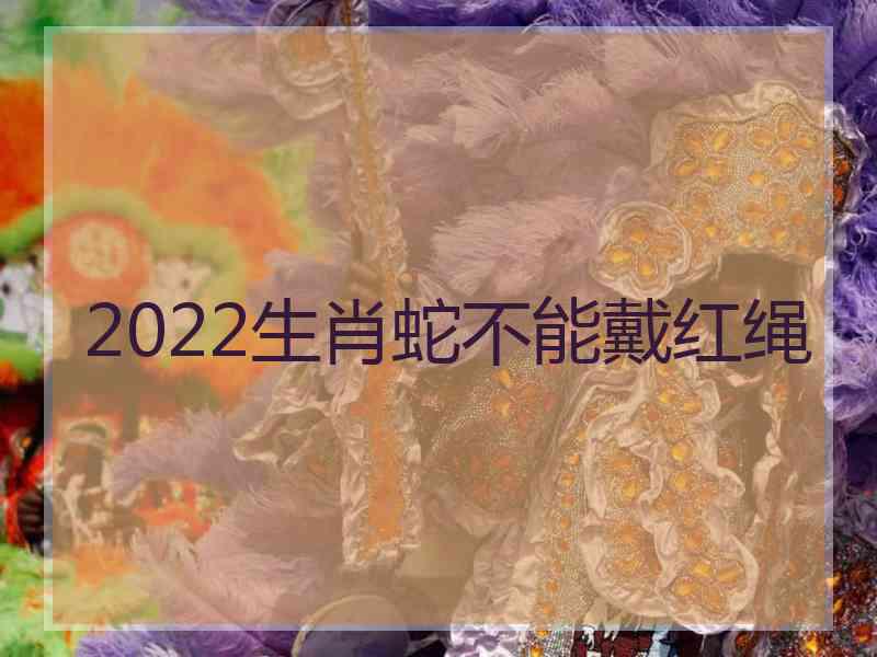 2022生肖蛇不能戴红绳