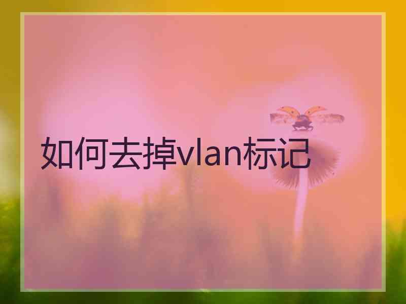 如何去掉vlan标记