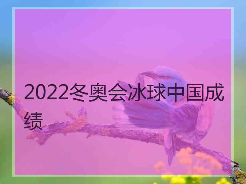 2022冬奥会冰球中国成绩