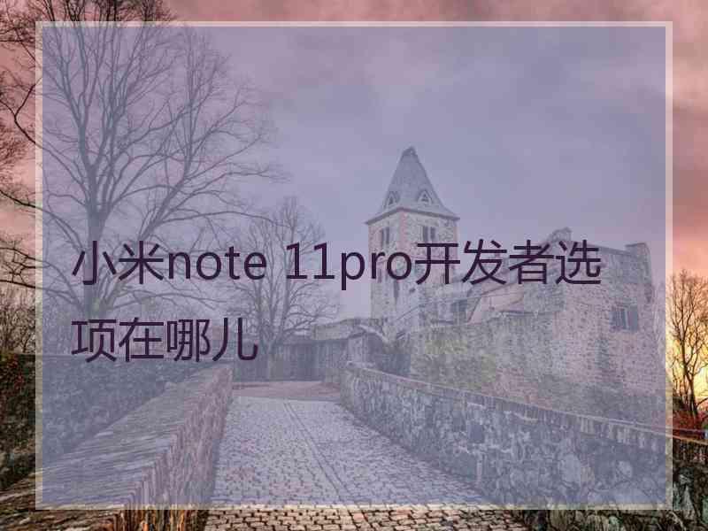 小米note 11pro开发者选项在哪儿