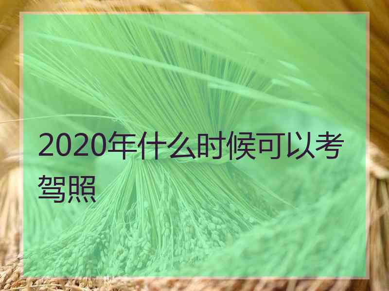 2020年什么时候可以考驾照