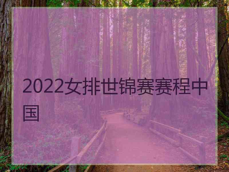 2022女排世锦赛赛程中国