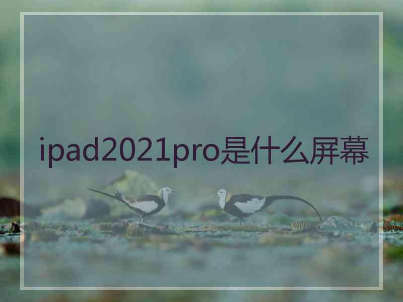 ipad2021pro是什么屏幕