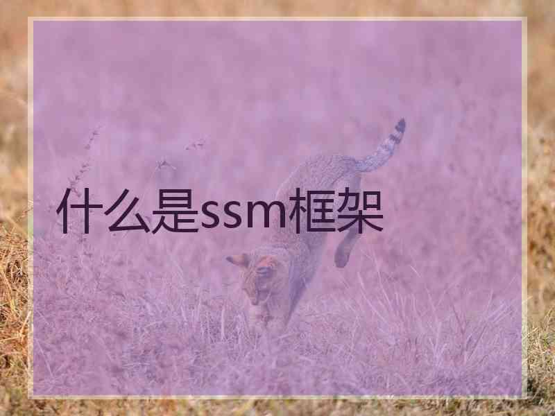 什么是ssm框架