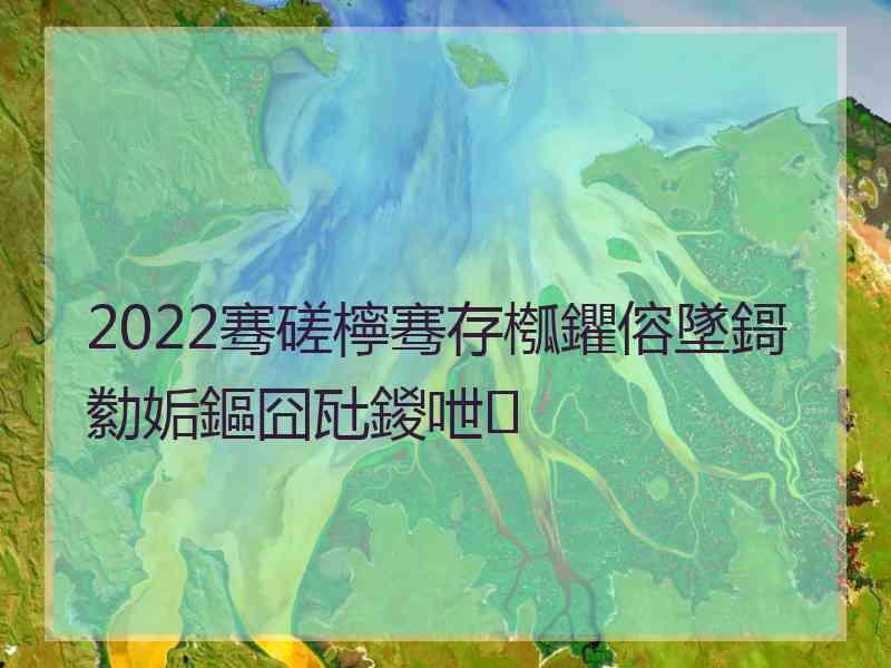 2022骞磋檸骞存槬鑺傛墜鎶勬姤鏂囧瓧鍐呭