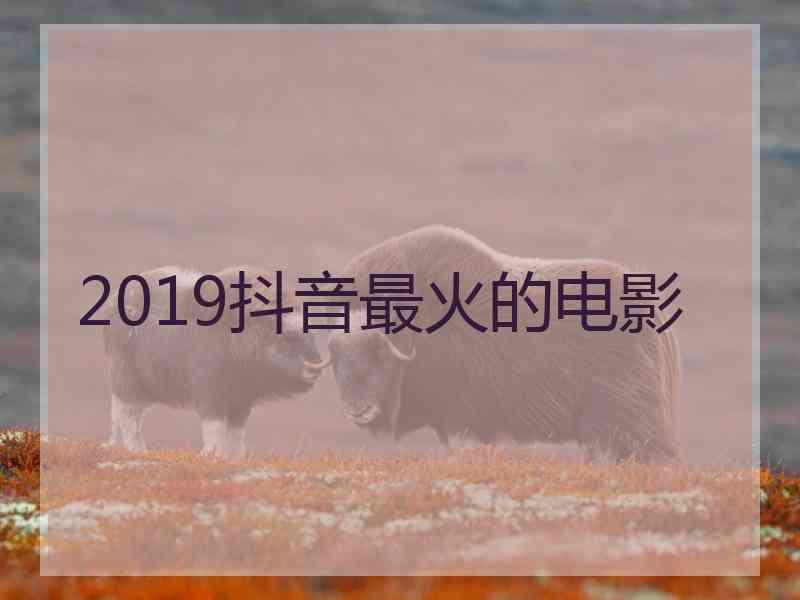 2019抖音最火的电影