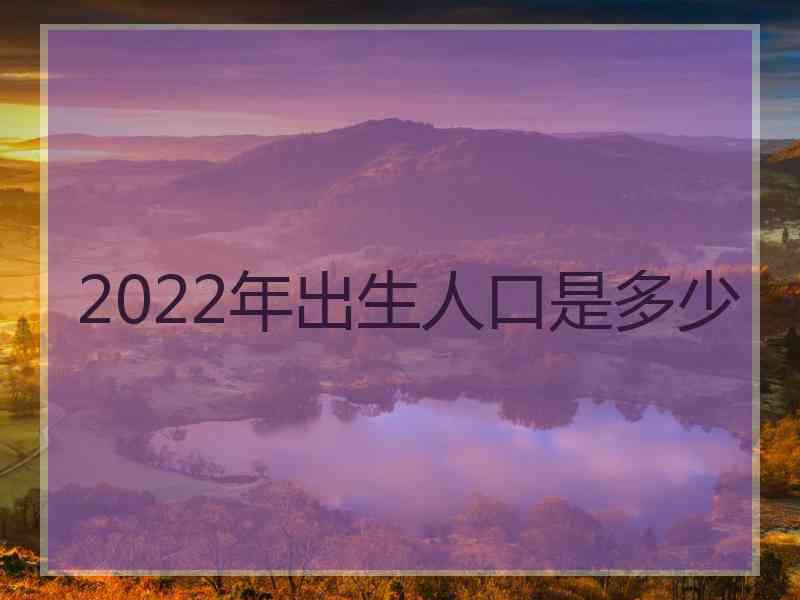 2022年出生人口是多少