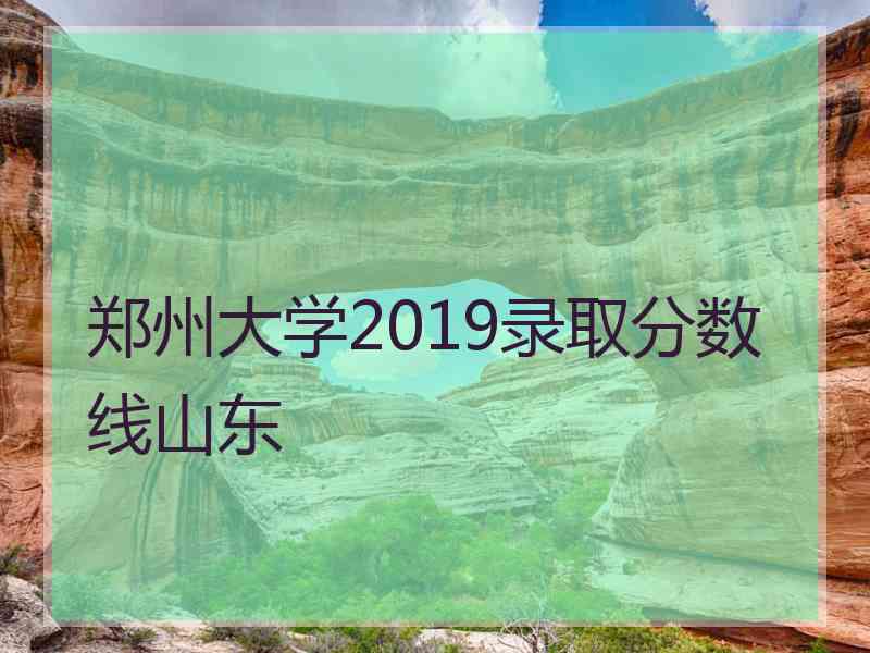 郑州大学2019录取分数线山东