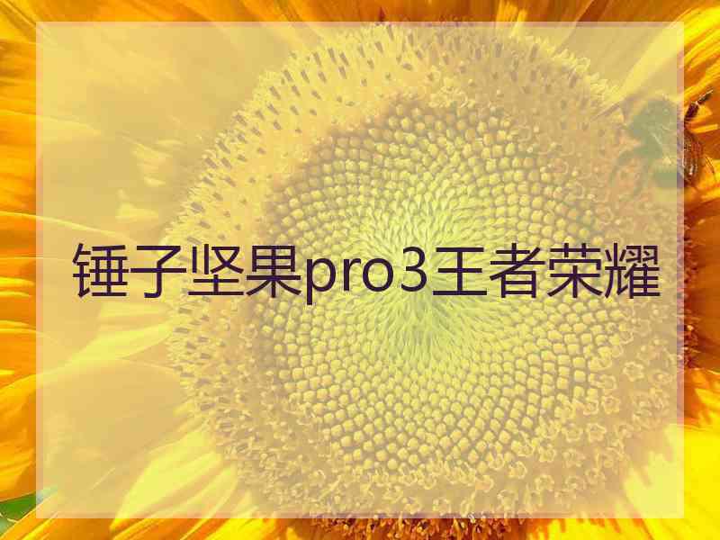 锤子坚果pro3王者荣耀