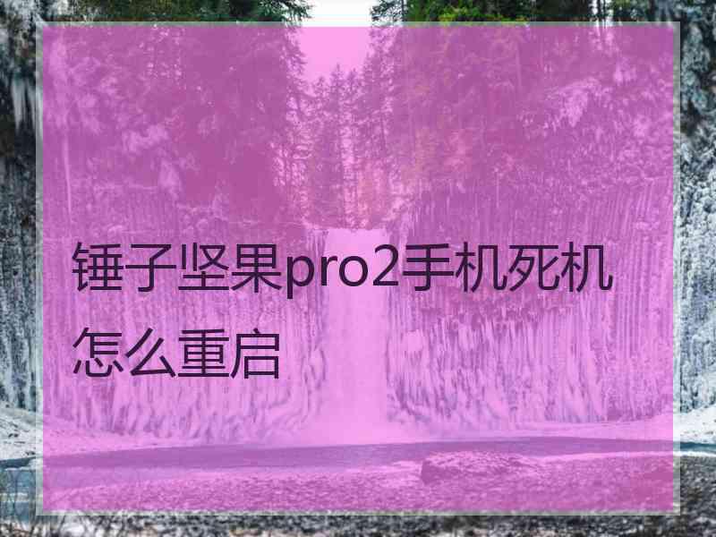 锤子坚果pro2手机死机怎么重启