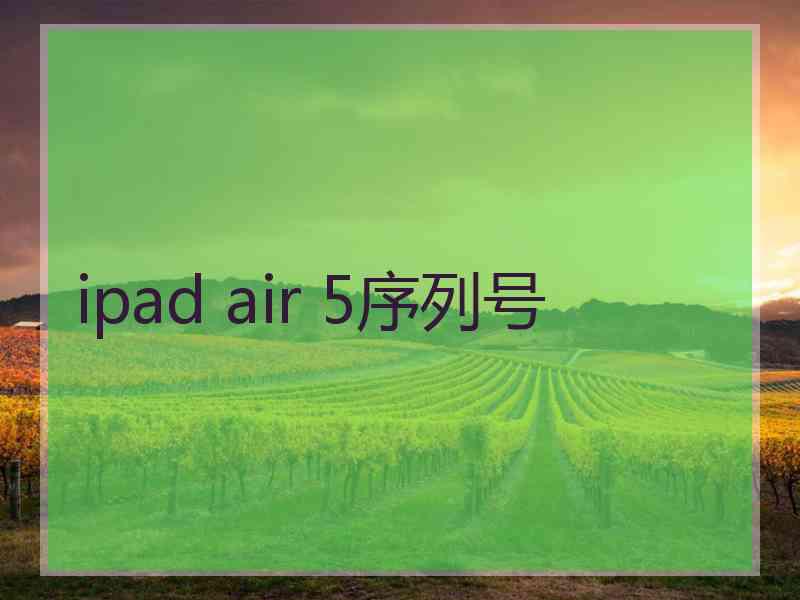 ipad air 5序列号