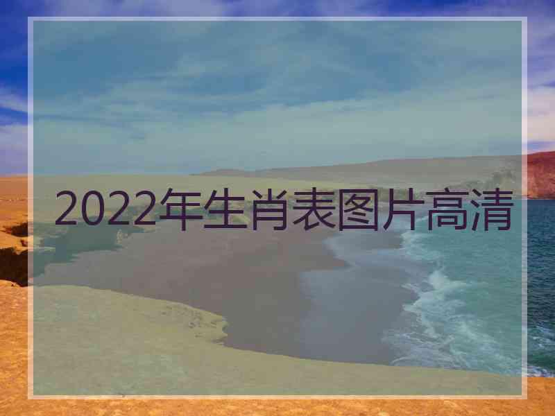 2022年生肖表图片高清