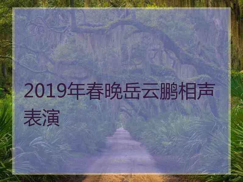 2019年春晚岳云鹏相声表演