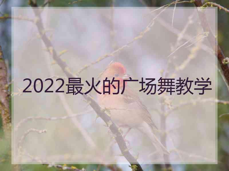 2022最火的广场舞教学