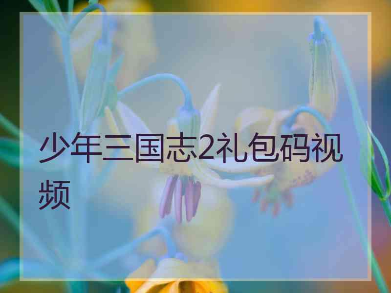 少年三国志2礼包码视频