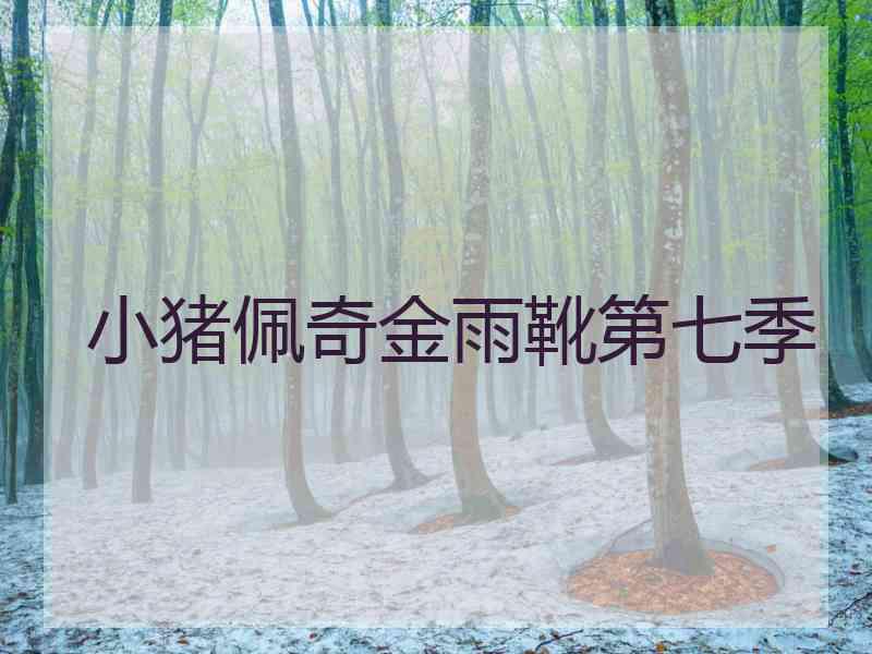 小猪佩奇金雨靴第七季