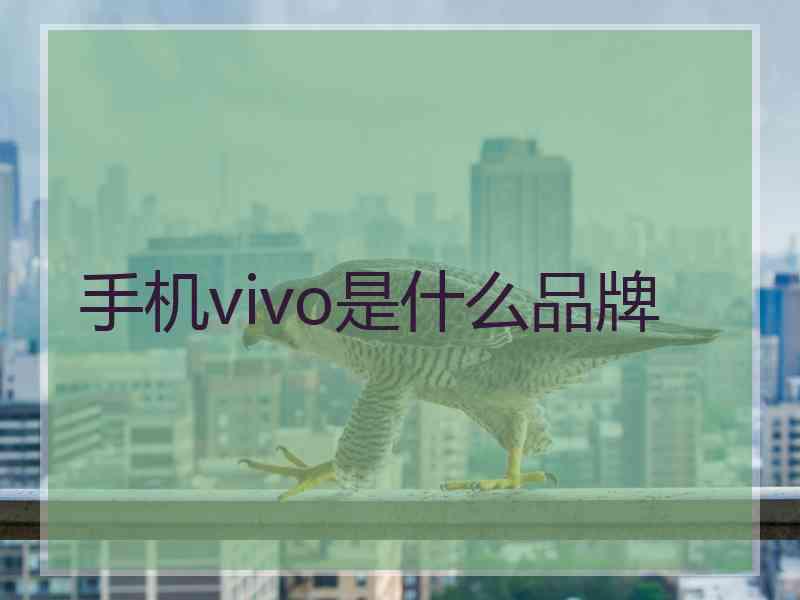 手机vivo是什么品牌