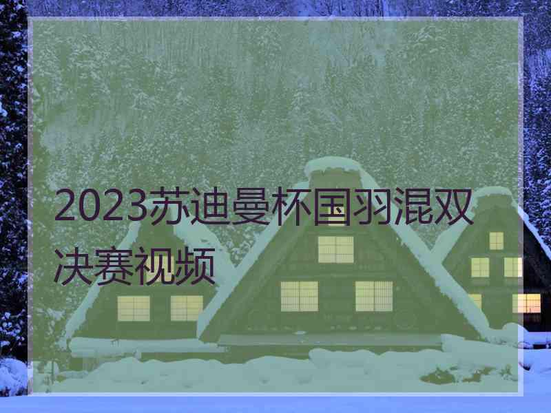 2023苏迪曼杯国羽混双决赛视频