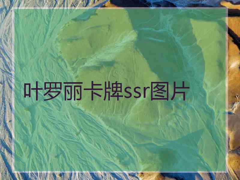 叶罗丽卡牌ssr图片