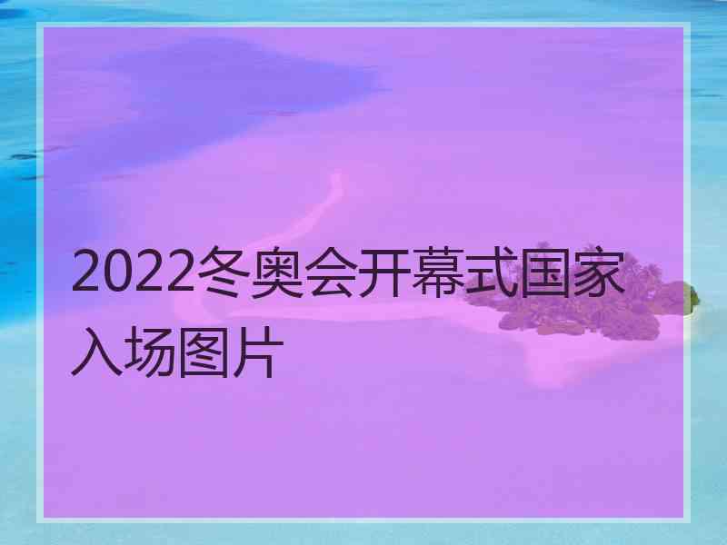 2022冬奥会开幕式国家入场图片