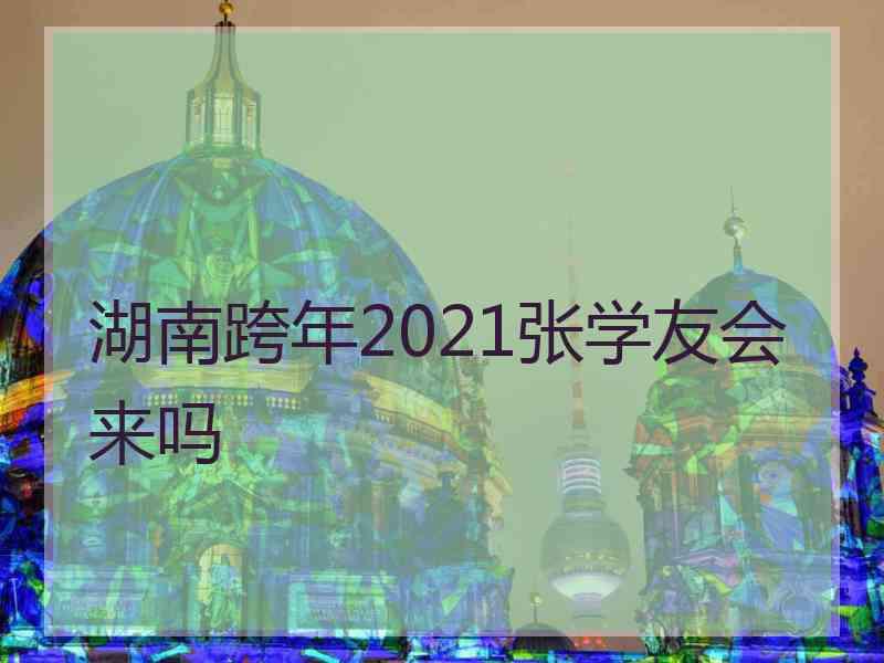 湖南跨年2021张学友会来吗