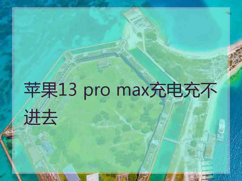 苹果13 pro max充电充不进去