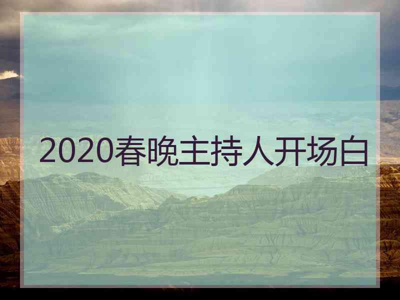 2020春晚主持人开场白