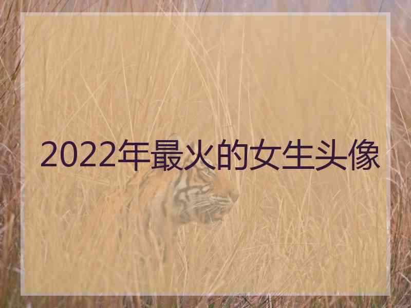 2022年最火的女生头像