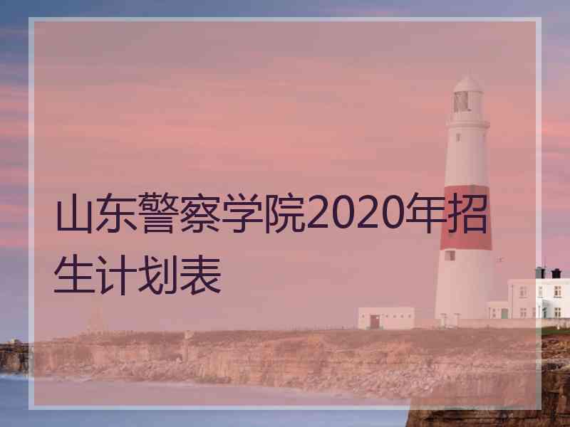 山东警察学院2020年招生计划表