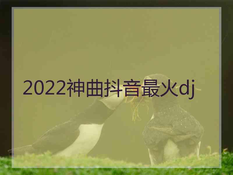 2022神曲抖音最火dj